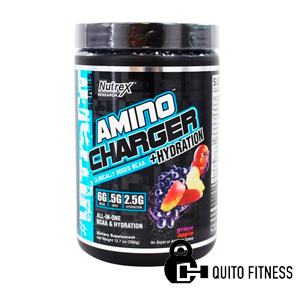 AMINO-CHARGER-30-SERV.jpg